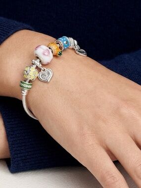 🆕 Pandora Style Classic Charm Bracelet
